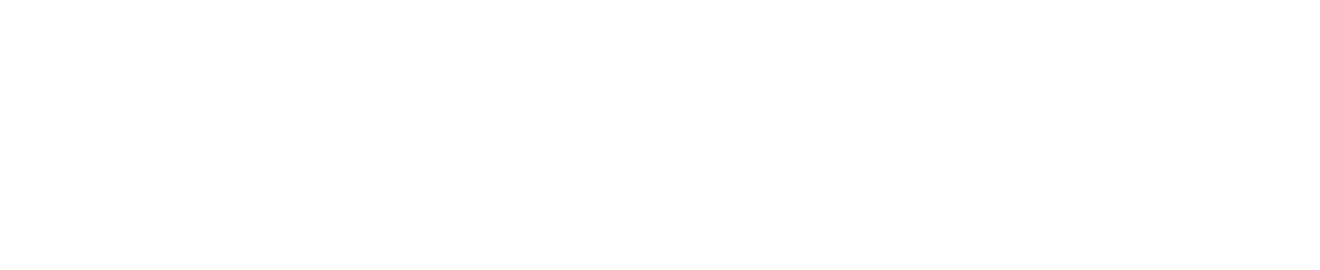 petbw logo – wholesale pet supplies platform