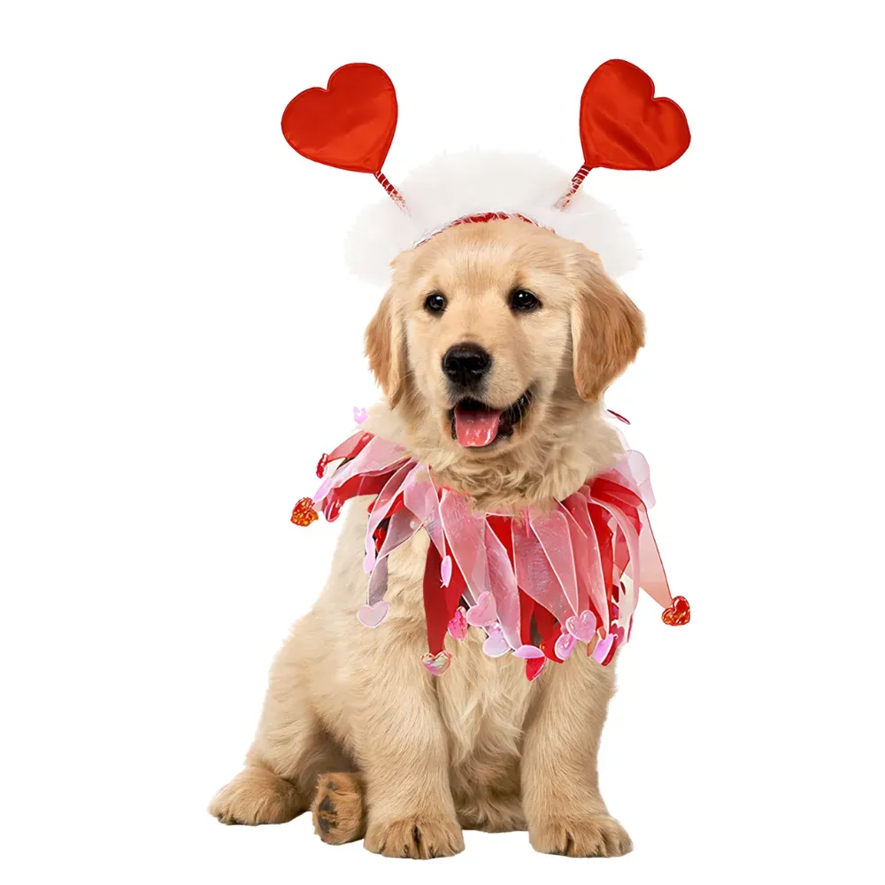 Valentine's Day dog decoration set featuring neckbands and headbands for retail sale
