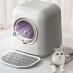 Cat using self-cleaning automatic litter box with APP control in modern home