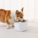 10002 Cat and dog drinking from smart automatic water fountain at hom