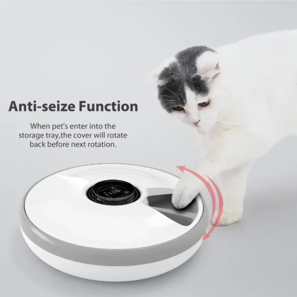 10005 Programmable 6-meal timed automatic pet feeder showing portion control and feeding schedule