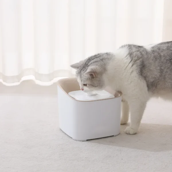 10005 Cat and dog drinking from smart automatic water fountain at hom