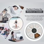 10006 Cat and dog eating from smart automatic pet feeder in modern home setting