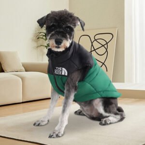 Custom pet apparel – print-on-demand shirts, hoodies, and outfits