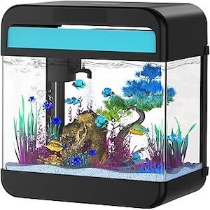 Aquariums and fish bowls – glass tanks and bowls for pet fish