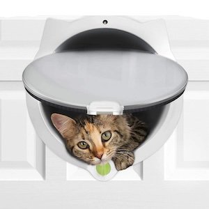 Cat doors – indoor and outdoor flap doors for cats