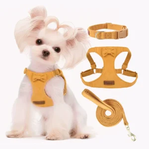 et harness and leash set – matching collar, leash, and harness for dogs or cats