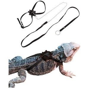 Reptile harnesses – adjustable walking harnesses for lizards and small reptiles