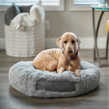 POD custom pet products – print-on-demand apparel, tags, and bed covers