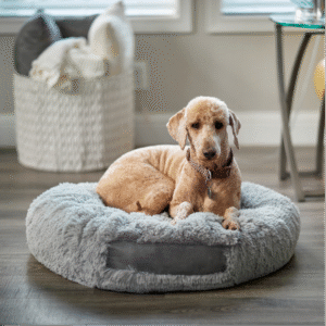 POD custom pet products – print-on-demand apparel, tags, and bed covers