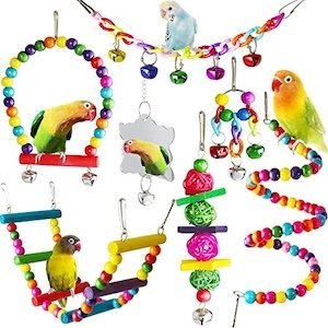 Bird toys – hanging, chewing, and interactive toys for birds