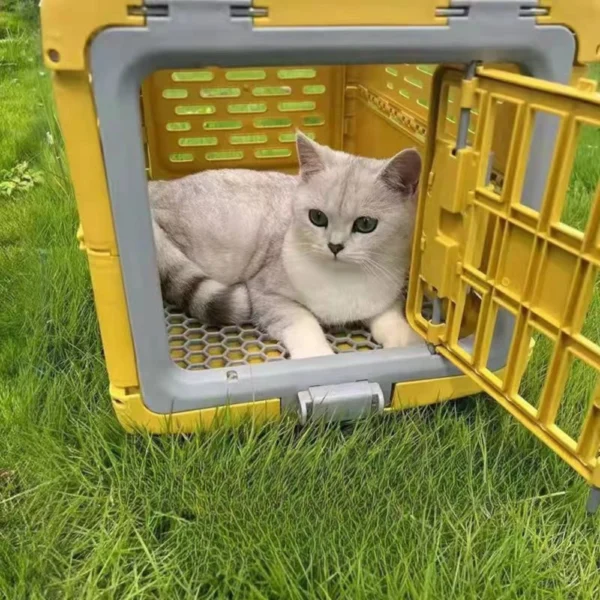 10001 Collapsible foldable design of durable hard-sided pet crate