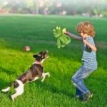 Dog playing with durable plush squeaky toy at outside