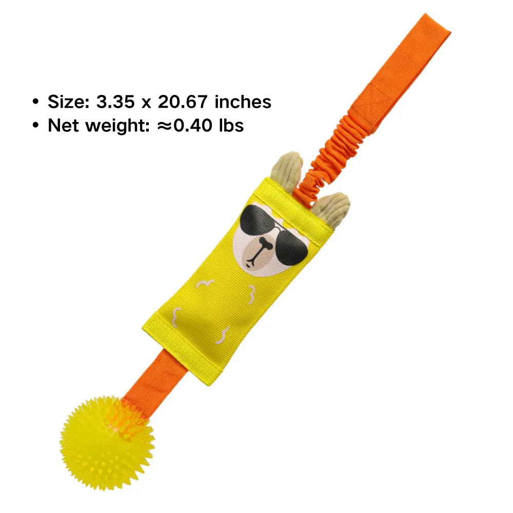 Size chart of durable Oxford TPR squeaky dog tug toy for retail display