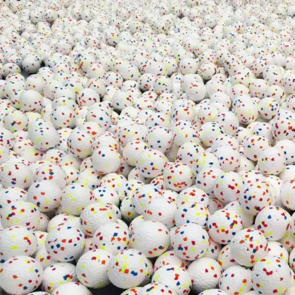 10001 Dog playing fetch with durable ETPU ball toy, ideal for interactive play indoors and outdoors