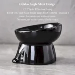 10001 Anti-vomit tilted ceramic cat bowl showing neck protection and easy food access