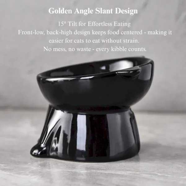10001 Anti-vomit tilted ceramic cat bowl showing neck protection and easy food access