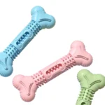 10002 Small dog playing with bone-shaped TPR chew toy indoors, interactive and entertaining pet toy