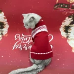 cute Christmas Cat sweater red