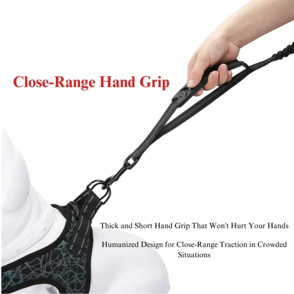 10002 Anti-pull elastic leash reducing strain during dog training