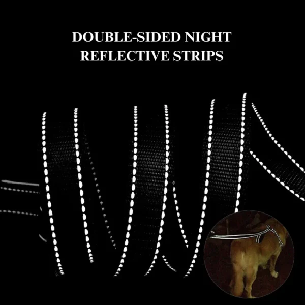 10002 Durable reflective leash showing night visibility, designed for large and medium dogs