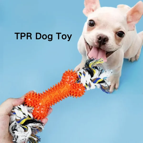 10002 Dog playing outdoors with bone-shaped rope and TPR chew toy, wholesale supply for pet stores