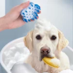 10003 Pet owner grooming a dog with flower-shaped silicone pet brush