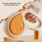 10003 Large dog walking on 19.6 ft retractable nylon leash in park