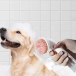 Pet groomer using long-handle silicone brush to bathe a dog