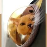 10003 Pet cat sitting inside foldable Oxford fabric travel carrier bag