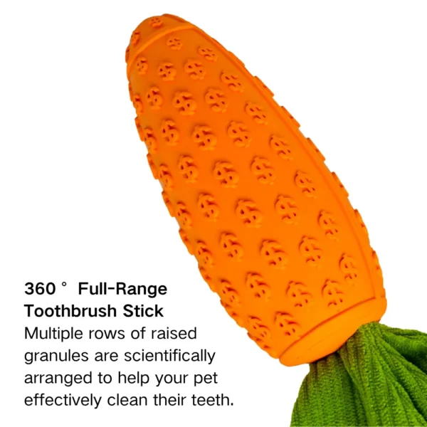 10003 Close-up of textured rubber surface for dog teeth cleaning