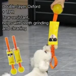 10003 Dog playing tug-of-war with squeaky Oxford TPR toy outdoors with owner