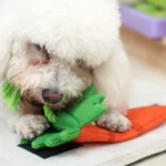 10003 Dog Playing Tug-of-War with Cotton Rope Crinkle Toy