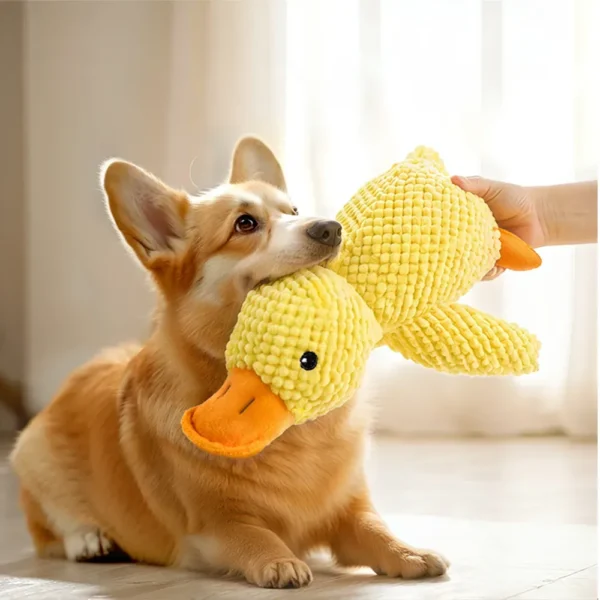 10003 Dog playing with Calming Duck Plush Toy with Quacking Sound – Perfect for chewing and calming