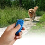 10003 Pet owner using 2-in-1 dog whistle and clicker during outdoor training, wholesale supply