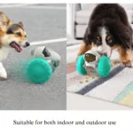 10003 Dog playing with robot shaped interactive tumbler toy food dispenser