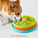 Cat interacting with three-layer IQ feeder bowl to access food