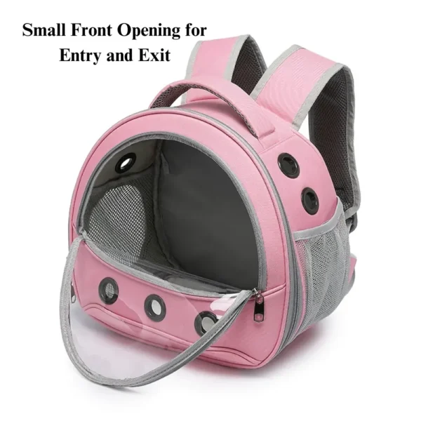 10003 Pet owner carrying transparent backpack with rabbit outdoors