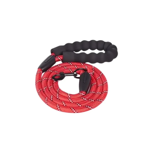 10004 Pet owner walking dog with wholesale strong nylon leash, ideal for daily walks and training