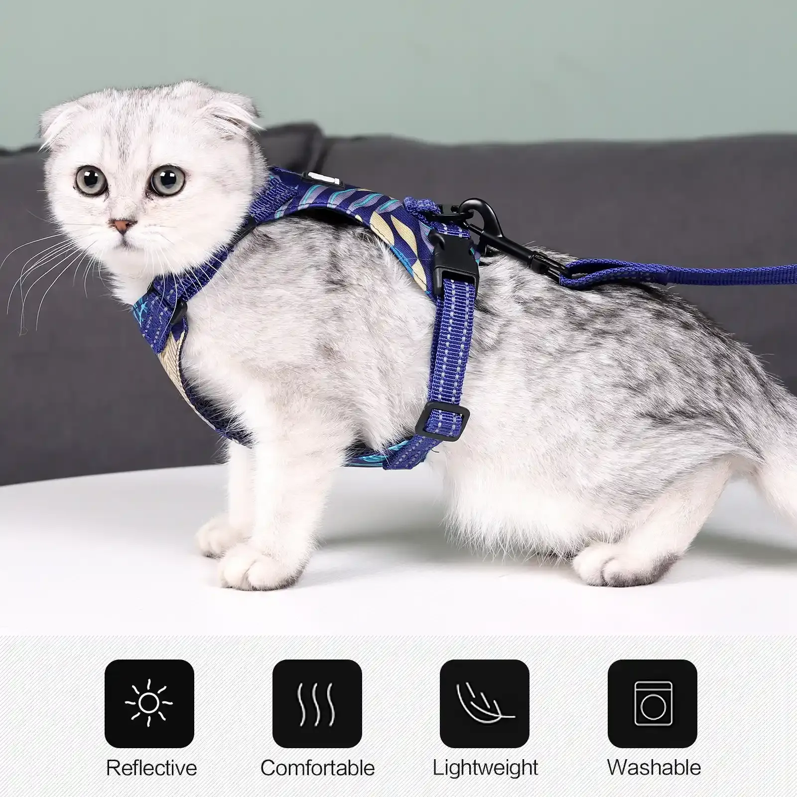 Cat Collar