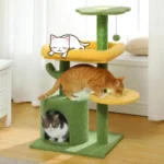10004 Kitten playing on cactus cat climbing tree in home setting – cozy and fun cat furniture