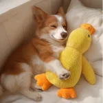 10004 Dog playing with Calming Duck Plush Toy with Quacking Sound – Perfect for chewing and calming