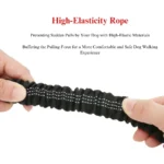 10004 Close-up of elastic anti-pull dog leash with reflective stitching for safety