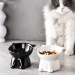 10004 Cat eating from elevated ceramic bowl with tilted design, suitable for pet stores and small retailers