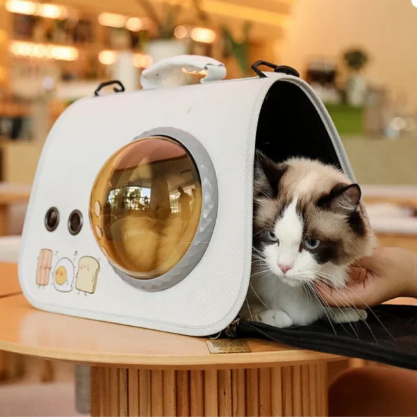 10005 Pet cat sitting inside foldable Oxford fabric travel carrier bag