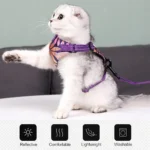 Cat Collar&Leash set purple Cat Collar&Leash set purple