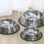10005 Close-up of stainless steel pet bowl with anti-slip rubber base and polished interior