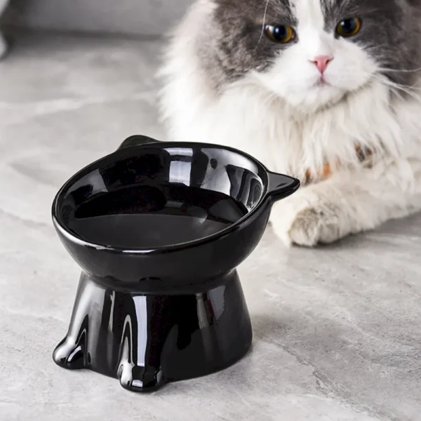 10005 Cat eating from elevated ceramic bowl with tilted design, suitable for pet stores and small retailers
