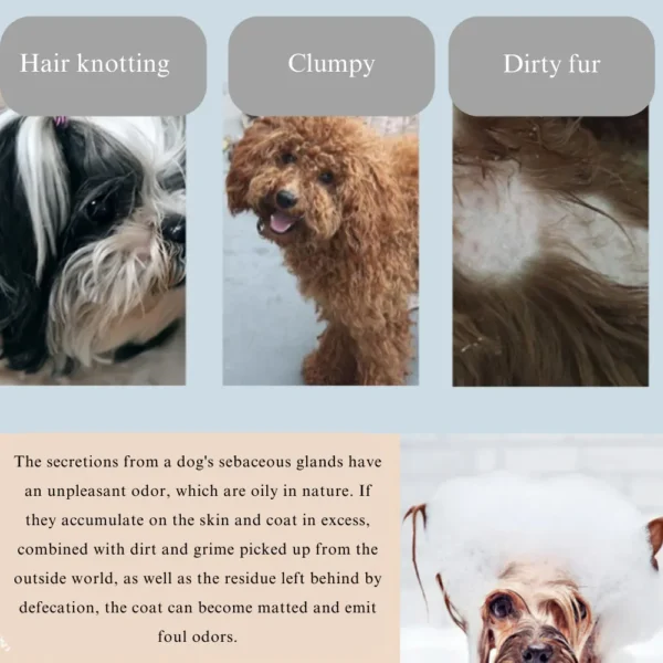 10005 Dog being groomed with de-shedding massage bath brush during bath time