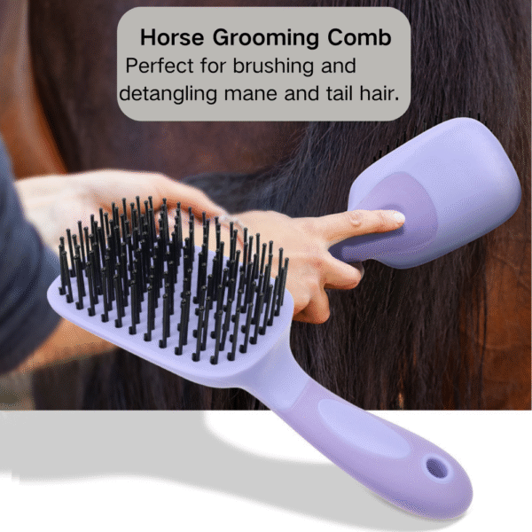 10006 Horse being groomed using multi-function grooming brush in stable setting